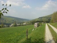 Gichenbachtal